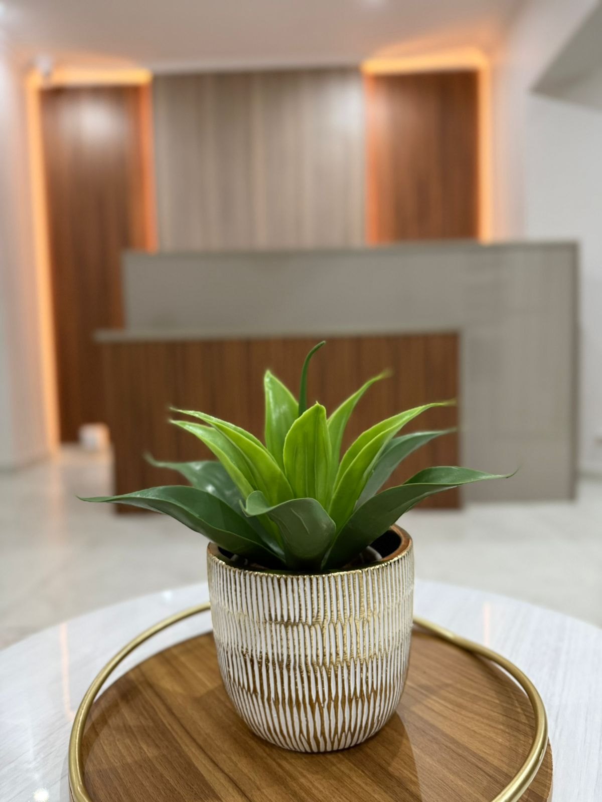 The Dentist reception decor